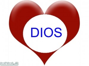wp-content/uploads/2011/01/dios-300x225.jpg